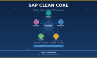 Clean Core S/4HANA